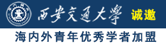 大鸡吧狠插少妇紧逼视频诚邀海内外青年优秀学者加盟西安交通大学