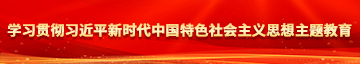 好屌屌屌白屄屄屄学习贯彻习近平新时代中国特色社会主义思想主题教育